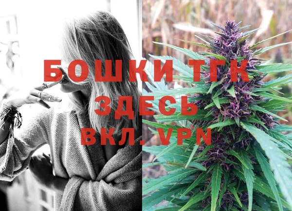 ПСИЛОЦИБИНОВЫЕ ГРИБЫ Михайловка