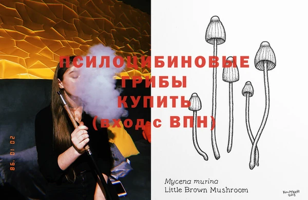 экстази Мегион